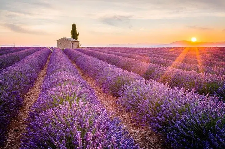 Photo: Shutterstock