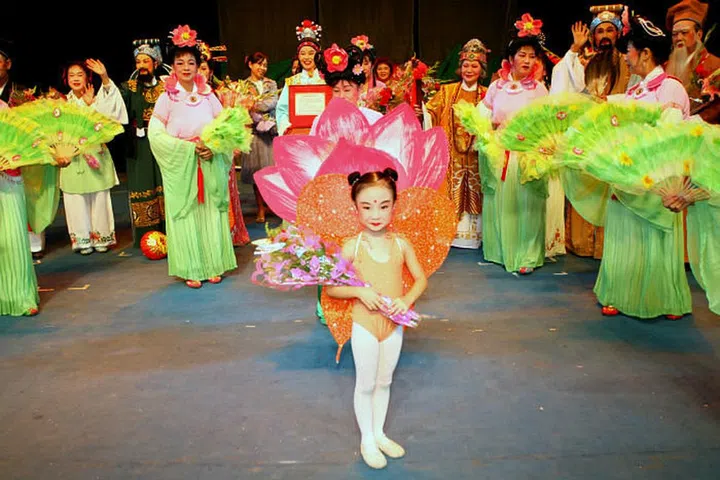Tan Wei Tian at Shantou's 3rd International Teochew Festival, Novemeber 2008
Photo: Courtesy of Tan Lye Soon