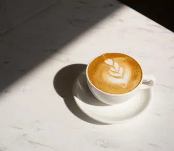 coffee cafes in singapore best coffee