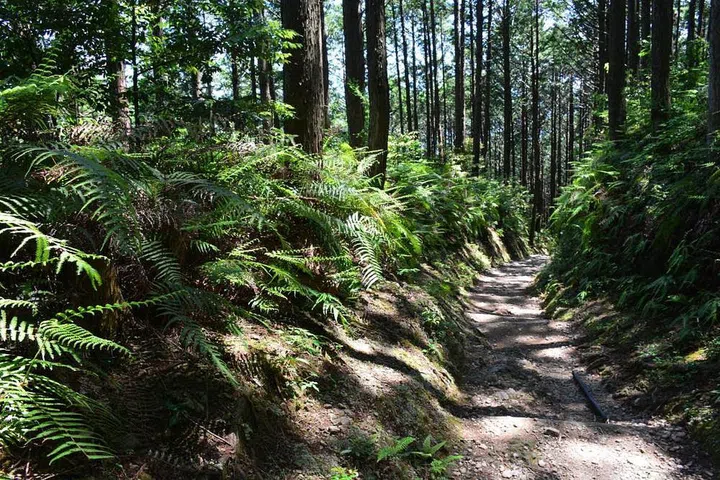 Japan’s answer to Spain’s Camino de Santiago, Kumano Kodo is a meditative pilgrimage walk that passes through some of the most beautiful landscapes and villages of the Kumano region in Wakayama Prefecture. You’ll want to be pretty fit for this one, even if “meditative” means “slow and steady”. Photo: Shutterstock