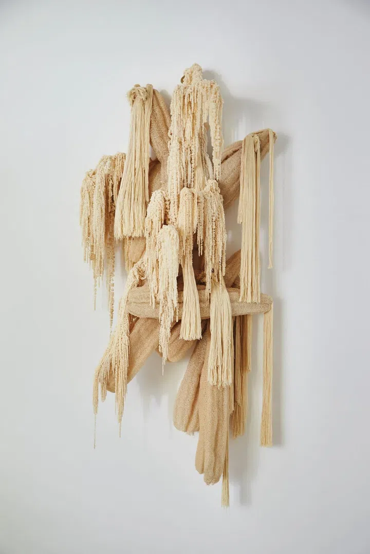 This Humid House installation. Photo: Veronica Tay.