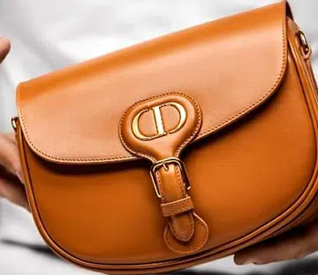 Dior Bobby bag