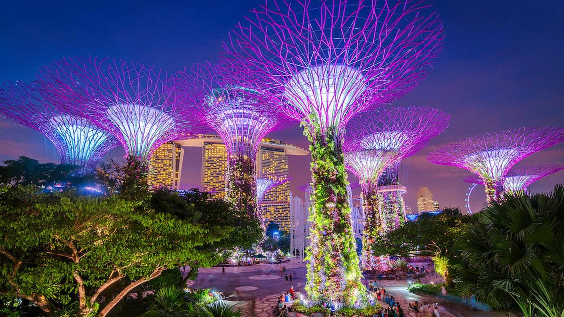 Illuminated Supertrees and Skywalk in Gardens by the bay in Singapore at night. (Photo: Getty Images)