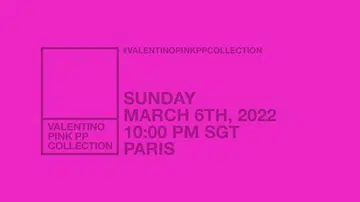 Valentino Pink PP Collection