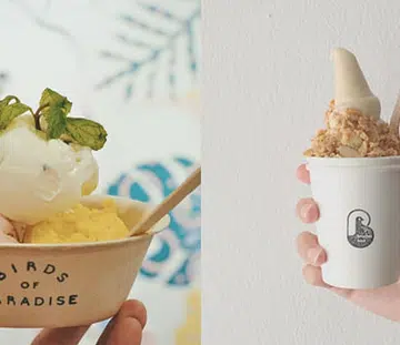 bird-themed cafes