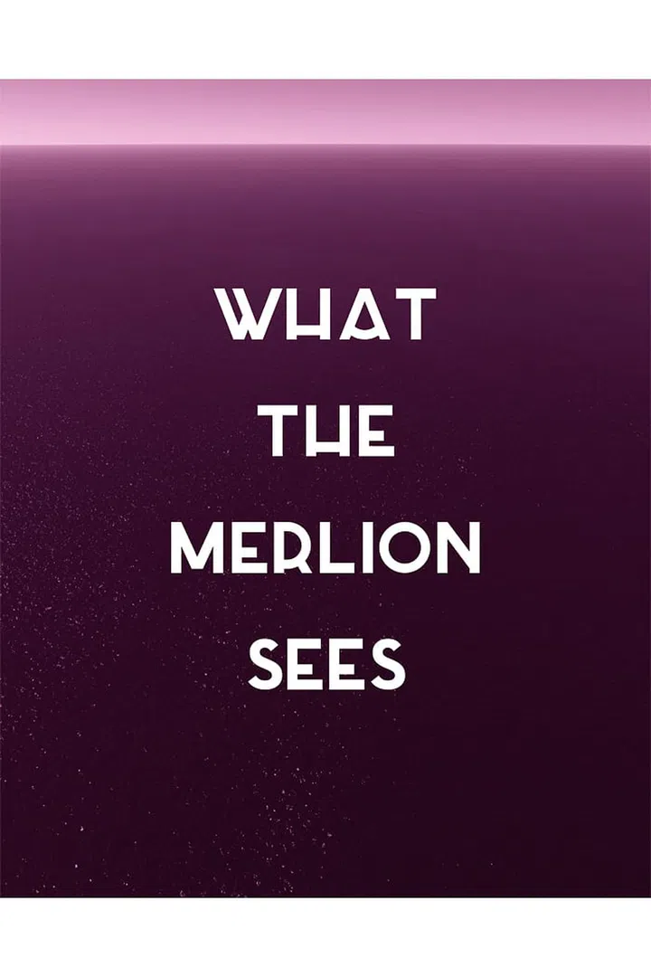 “I imagine the Merlion looking out into open water, before the humans came, before settlements and cities. I imagine the Merlion bathed in the pink violet light of a sunset.”