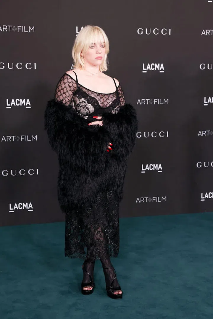 Billie Eilish (Phot: Robert Smith/Patrick McMullan/Getty Images)