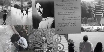 nida shay