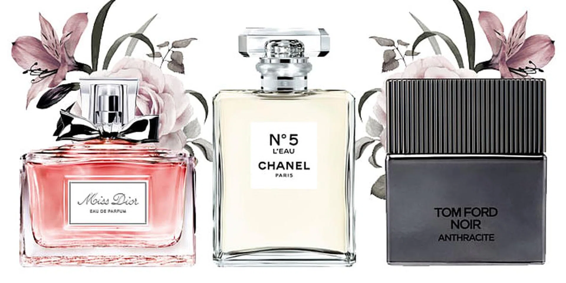 fragrance
