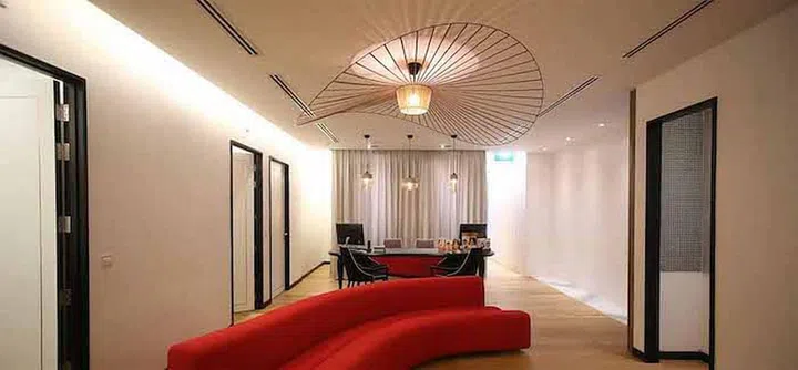 FLX Thermage