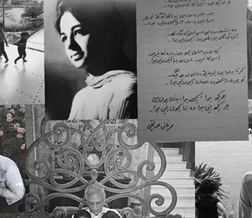 nida shay