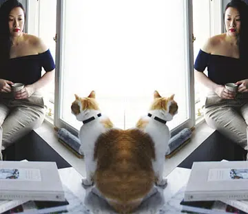 bella koh catslavery