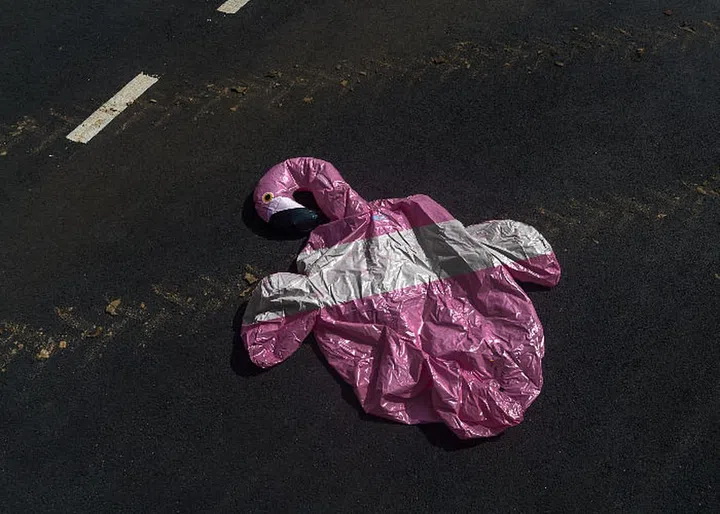 True to the name, You took inspiration from thoughts while driving: "...we sometimes compare our lives to the road." Although he looks around and acts cautiously and quickly to avoid being hit on the road of life, anyone can become a victim of roadkill. 