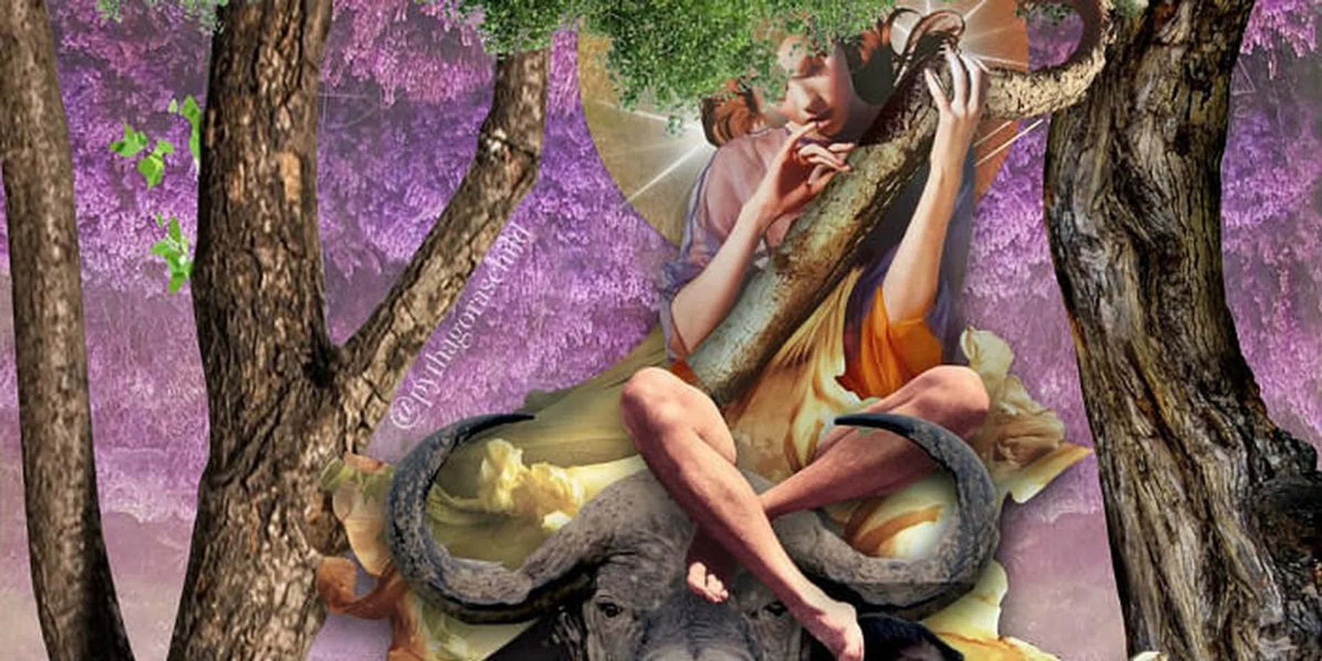 Pythagoras Child, Horoscope, Astrology, Zodiac, Taurus