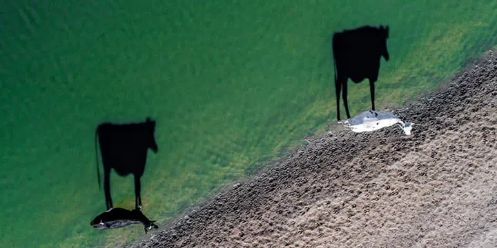 Best Drone Photos 2017