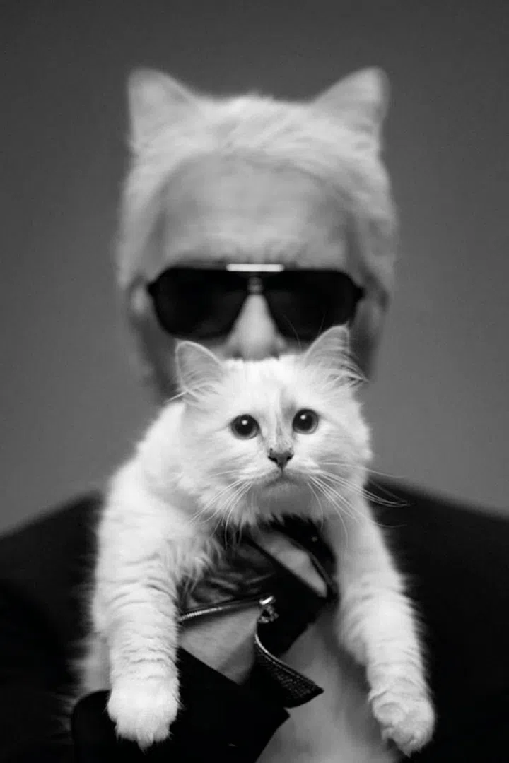 © Karl Lagerfeld