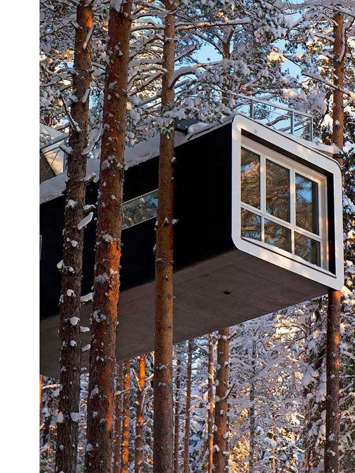 Photo: Treehotel