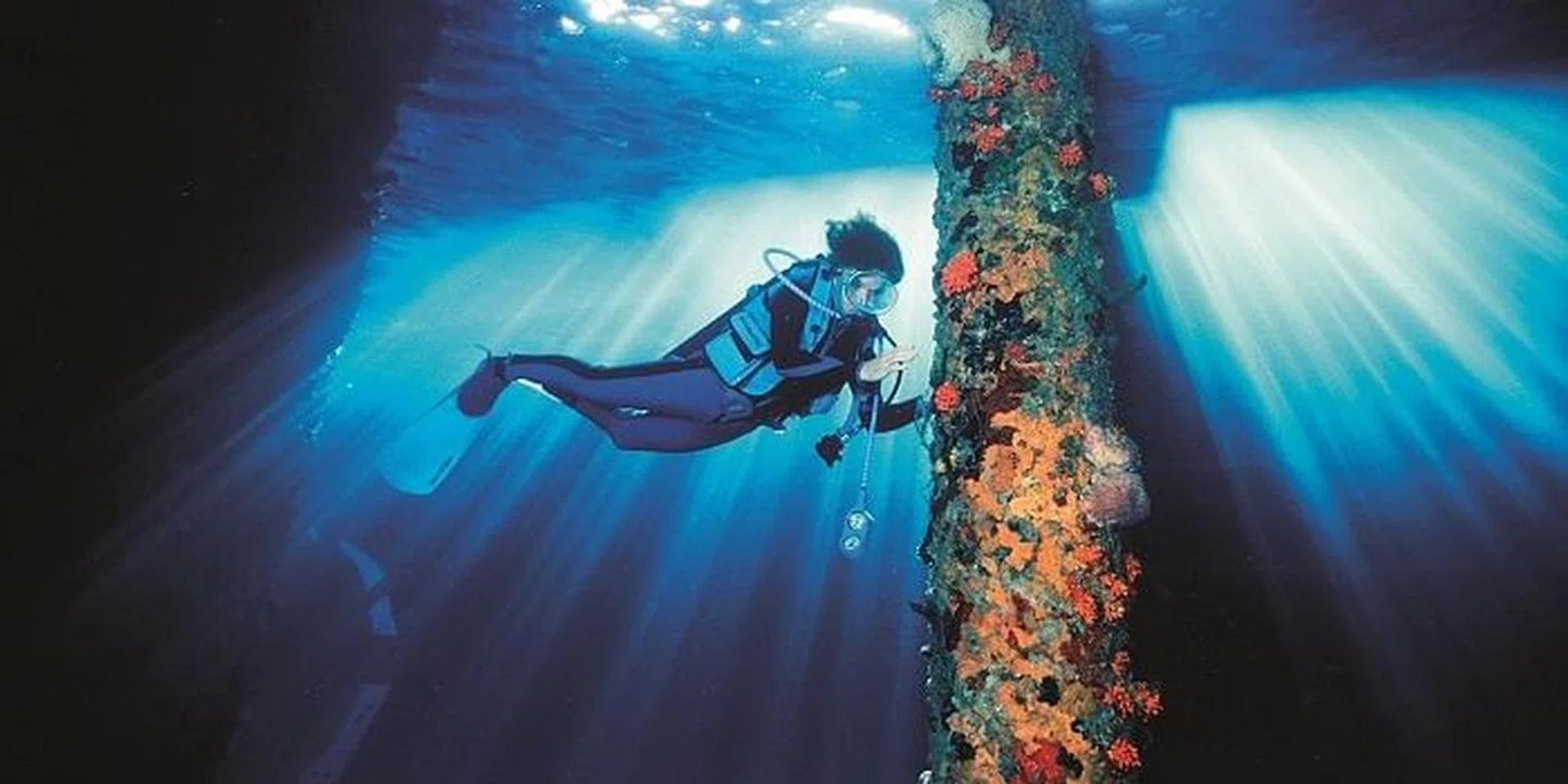 Sylvia Earle