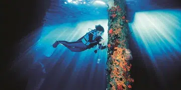 Sylvia Earle