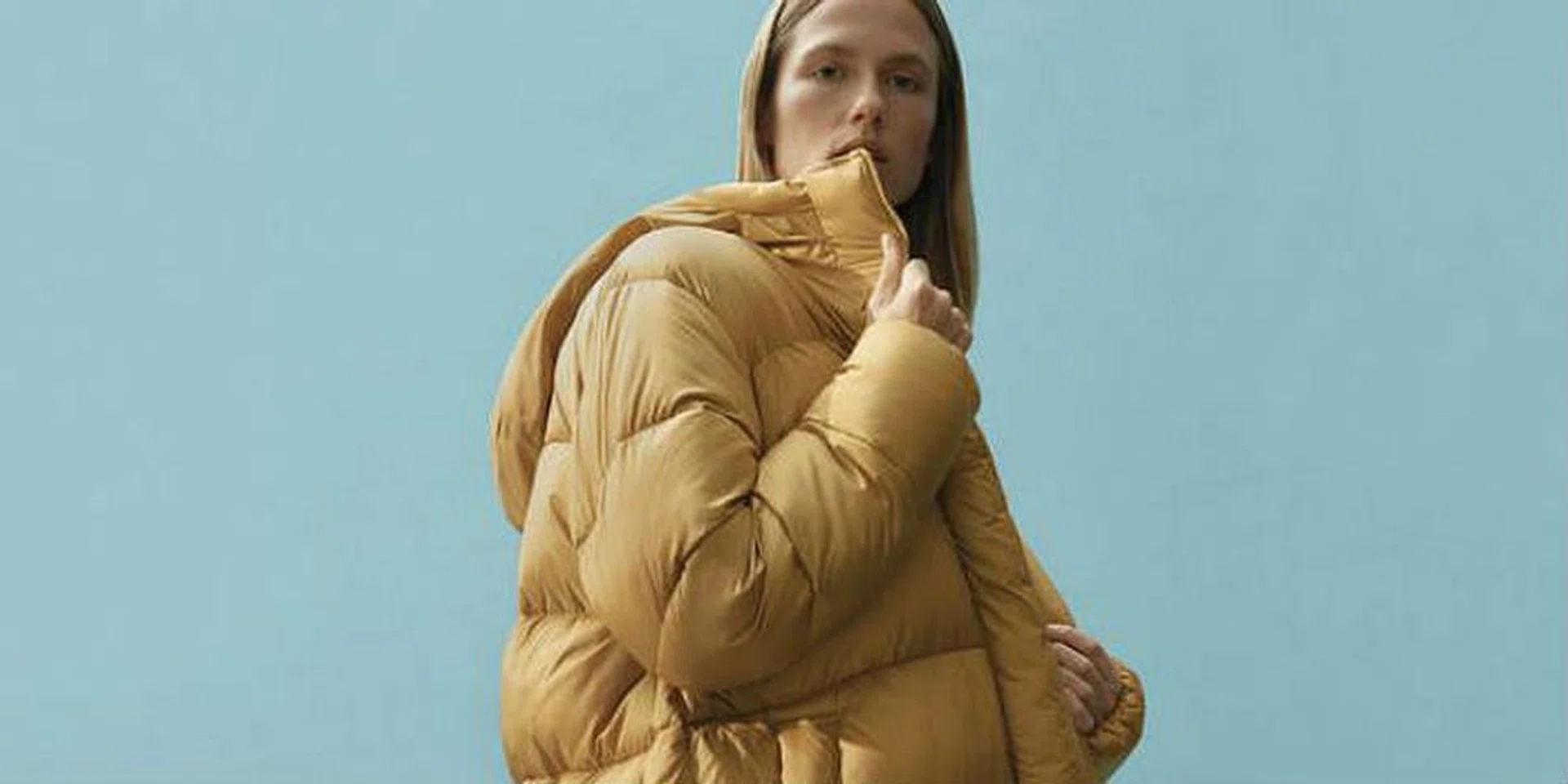 Everlane ReNew Puffy Puff