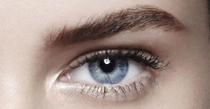 eye-land