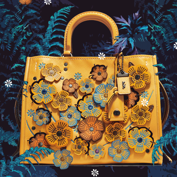 coach pre-fall 2017