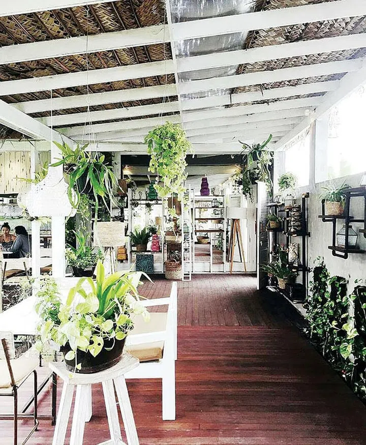 The beautiful interiors of Nook are bathed in natural light.