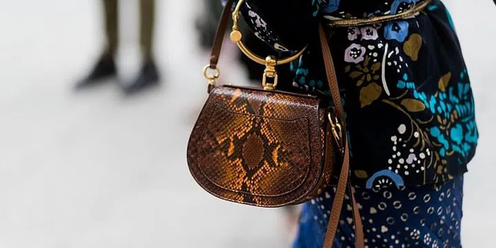 Chloé Nile Bracelet Bag, Python-effect

Photo: Getty
