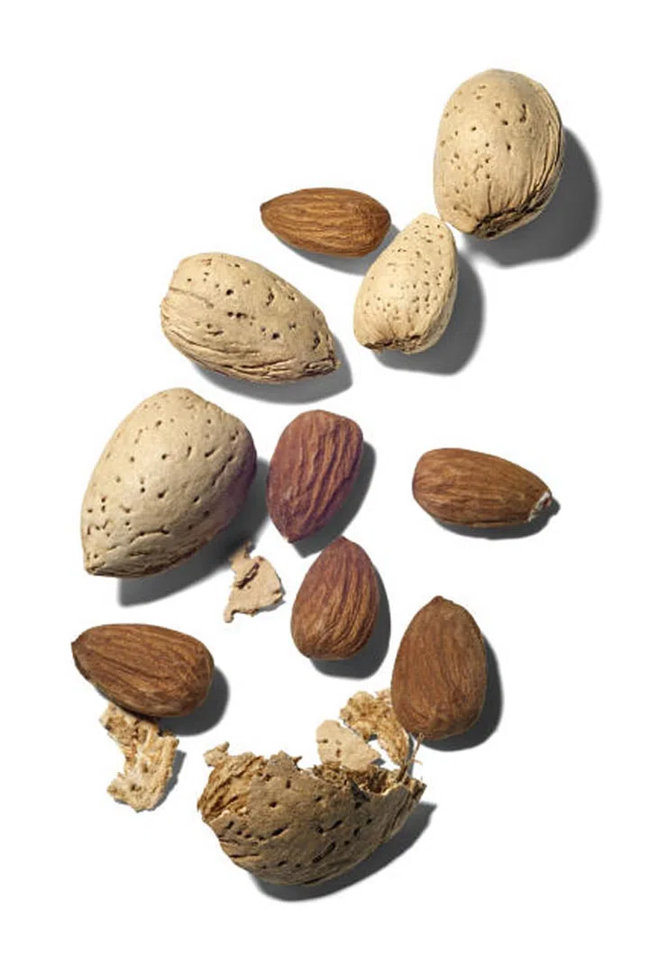 From sunflower to flax to sesame, little seeds won't be tough to process before bed and the seeds contain comparable levels of tryptophan to turkey meat.