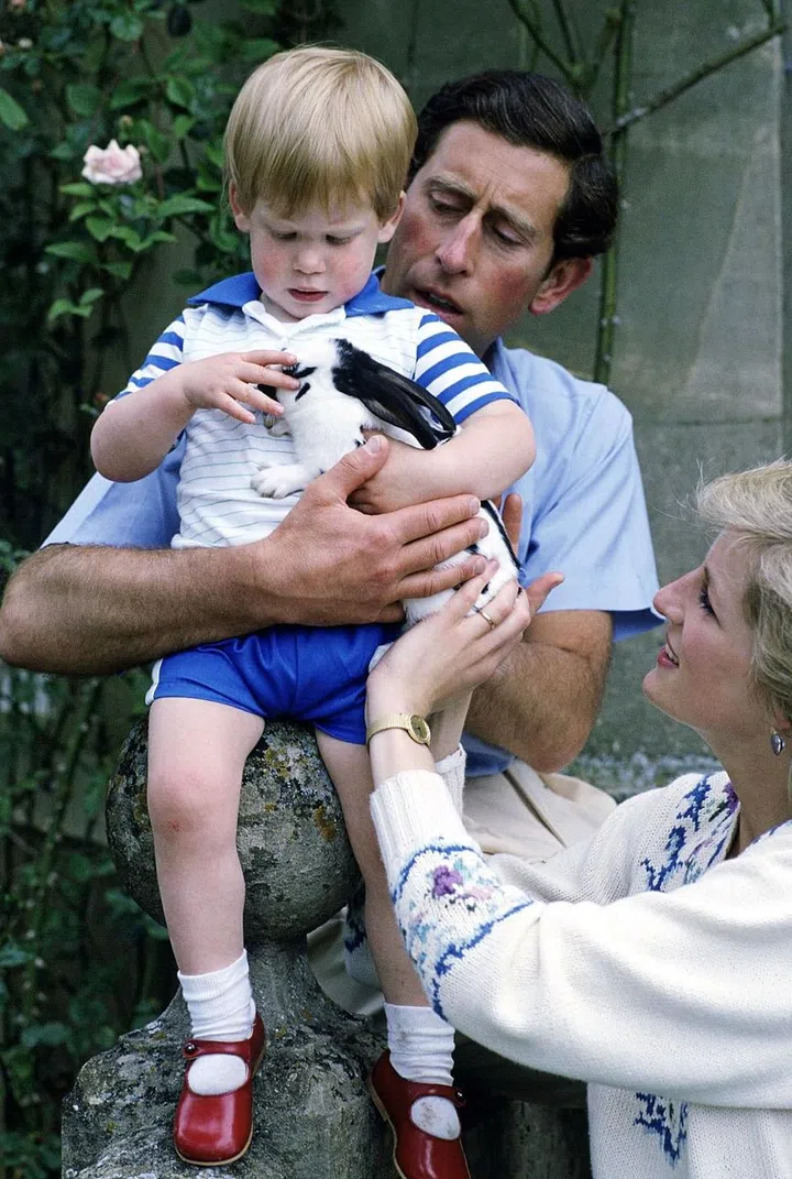 Some speculate that Prince Harry is actually the son of James Hewitt—Diana and James both admitted to having a five-year affair during Diana and Charles' marriage. James is a redhead, like Harry. Charles is not. Cosmopolitan placed parallel photos of Harry and James alongside each other and they do look a lot alike. Photo: Getty
