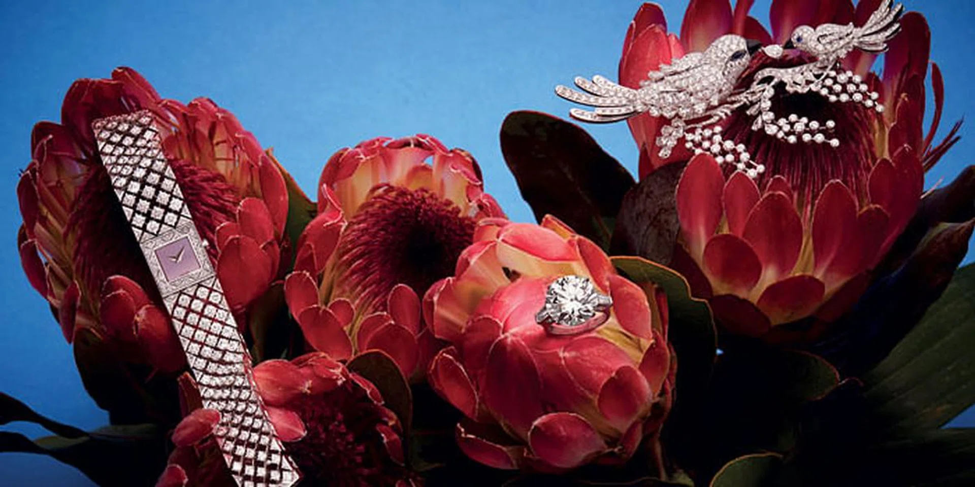 graff diamonds