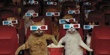 Ensemble films 2018