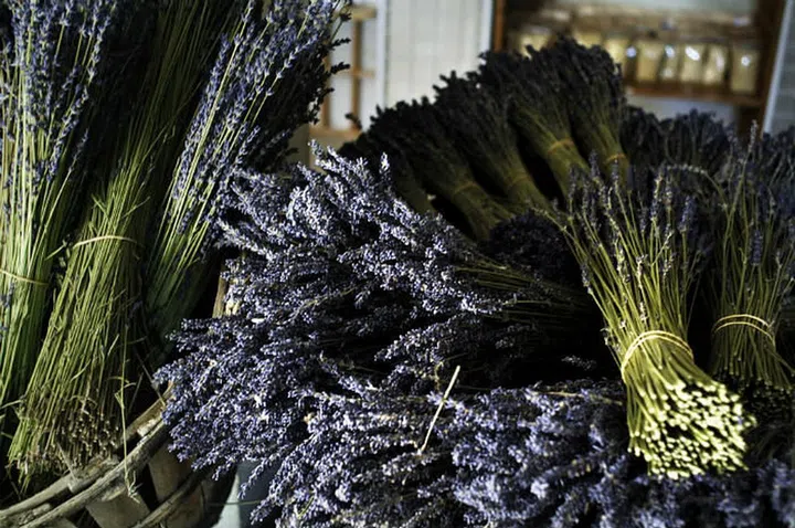 Properties: The soothing scent of lavender will quickly put your frazzled nerves at ease. If you’re experiencing redness and irritation, a light spritz of lavender water should calm it down quickly. (Photo: Getty)
