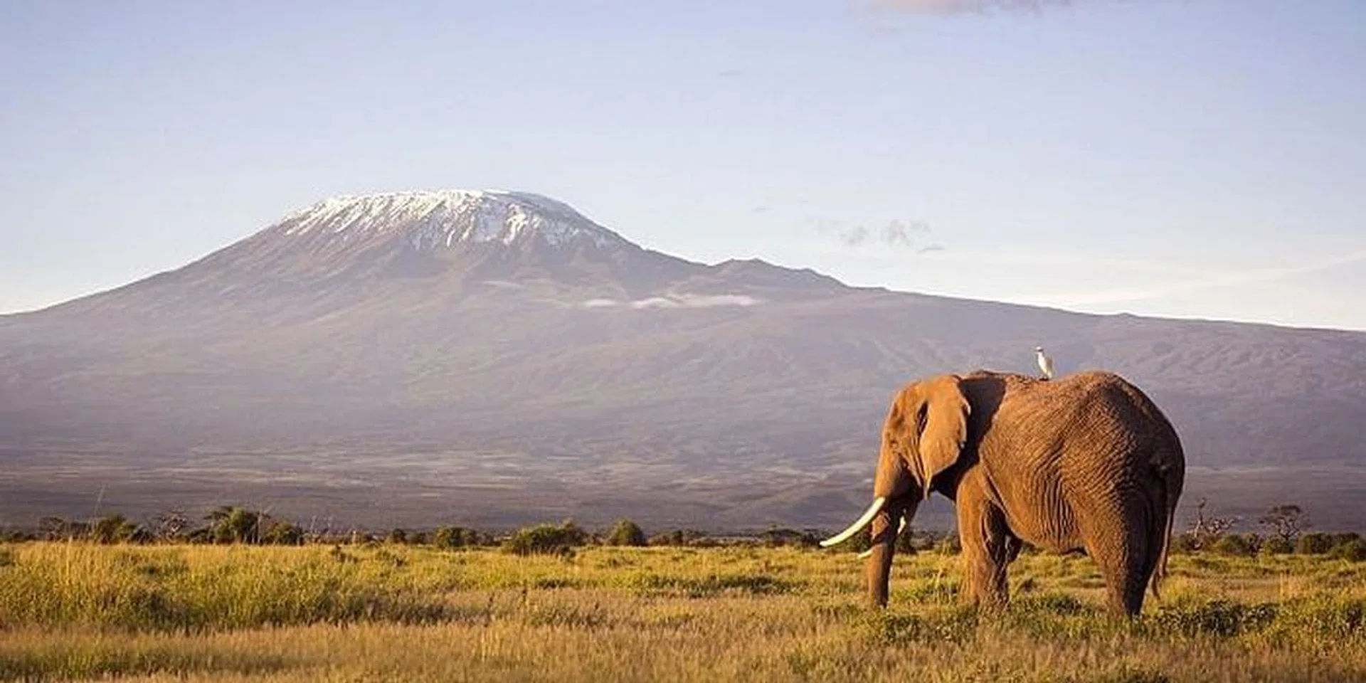 Tanzania