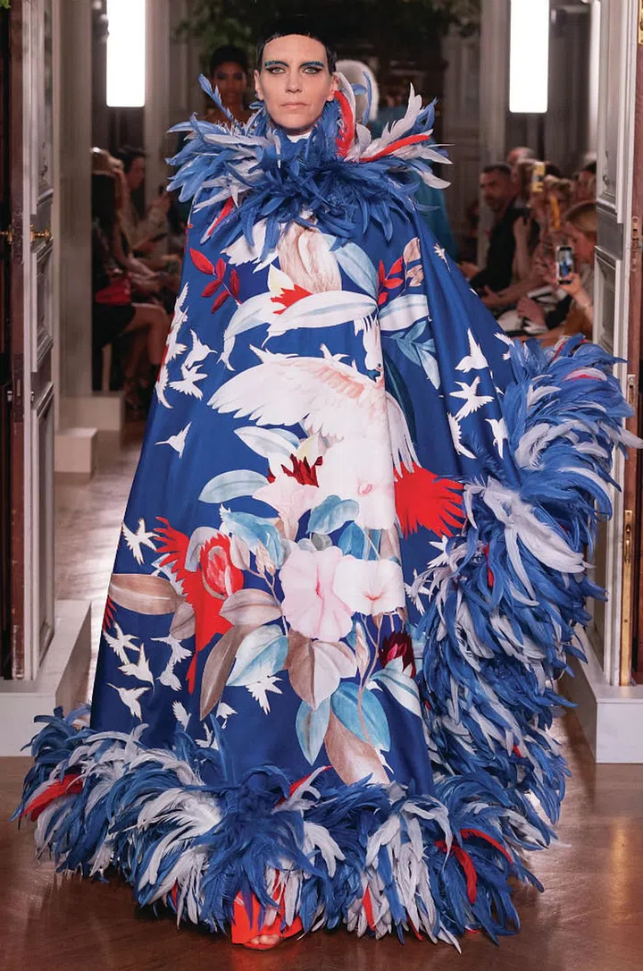Plumes In Bloom