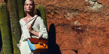 Braun Buffel