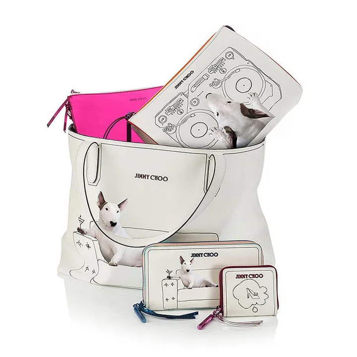 jimmy choo bull terrier