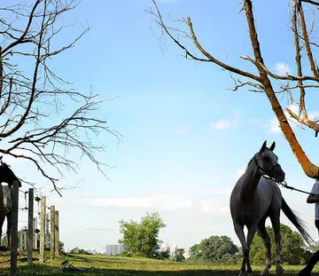 bukit-timah-saddle-club-singapore-overseas