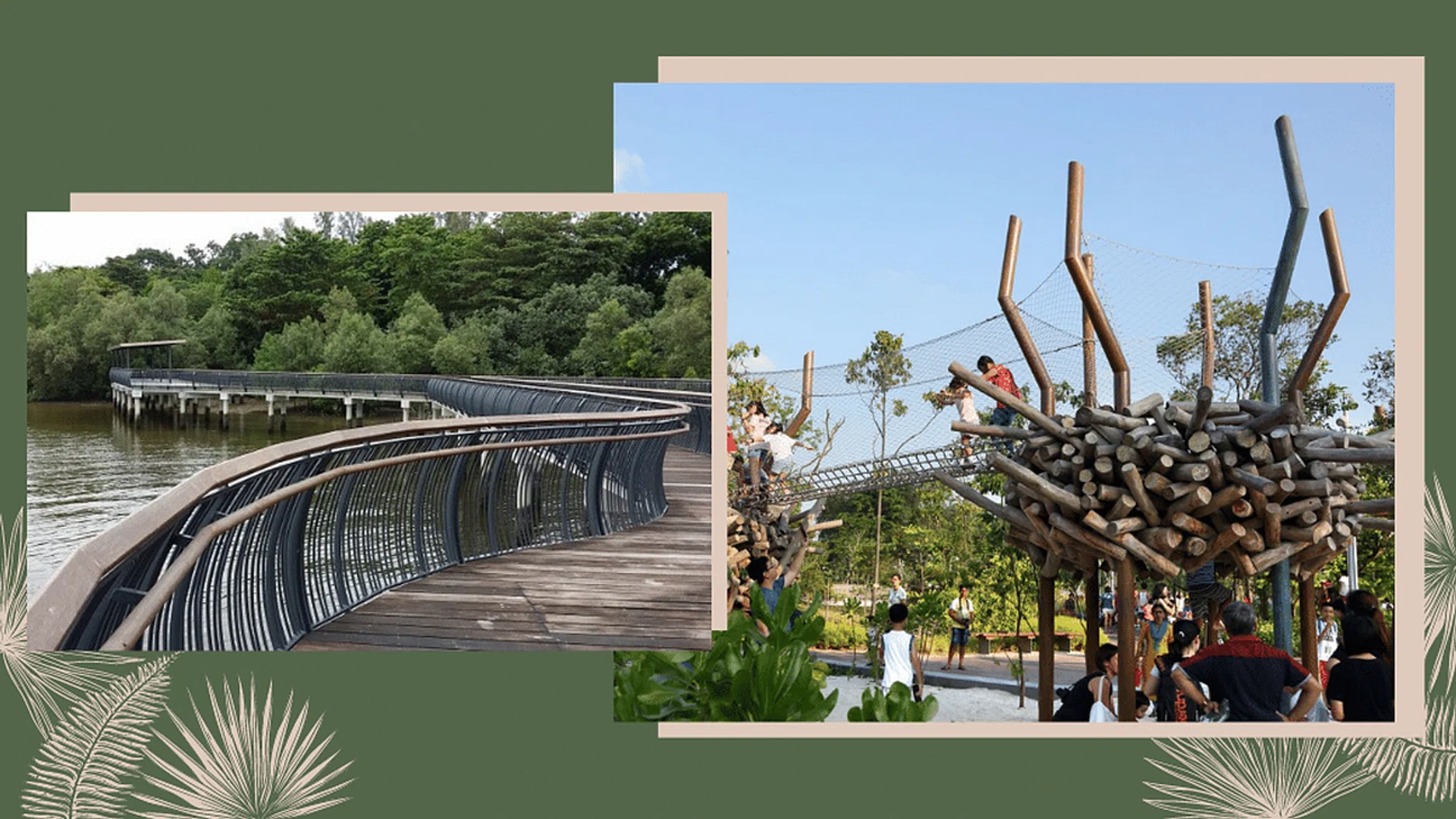 Best Hiking Trails And Nature Parks In Singapore