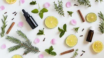 Essential Oils To Help Reduce Stress And Improve Your Immunity