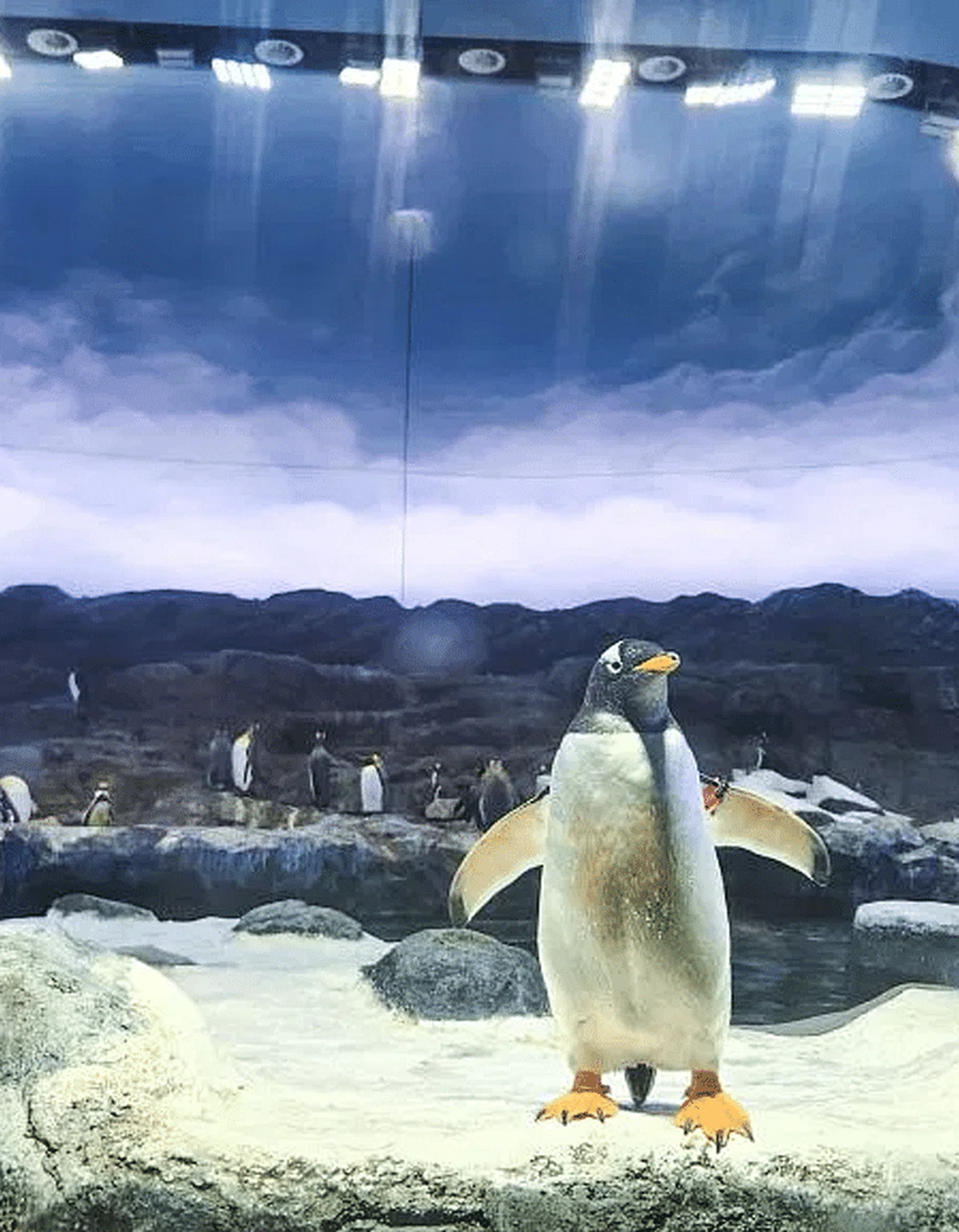 Singapore Women's Weekly