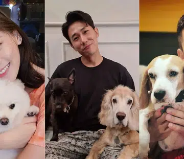 Local-Celebs-Pets-Instagram
