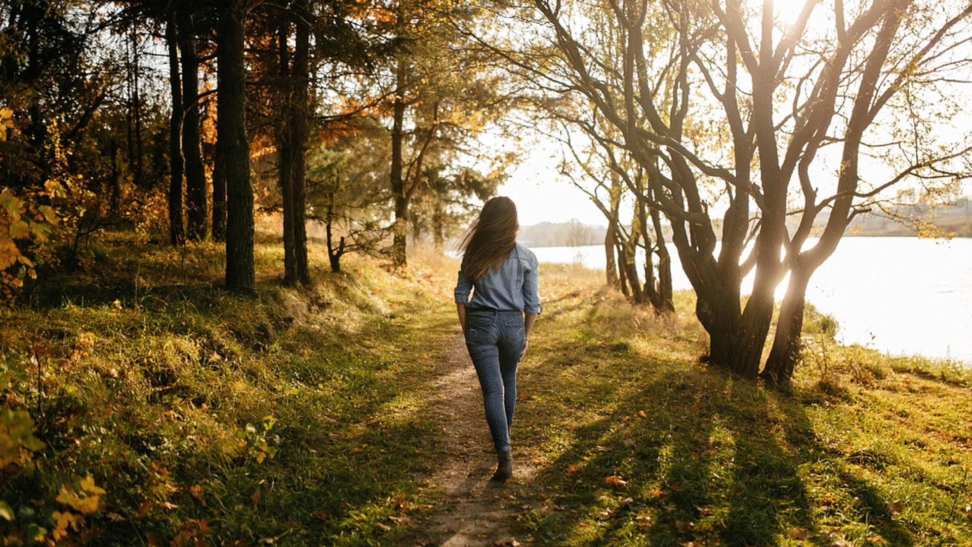 Credit: Pexels