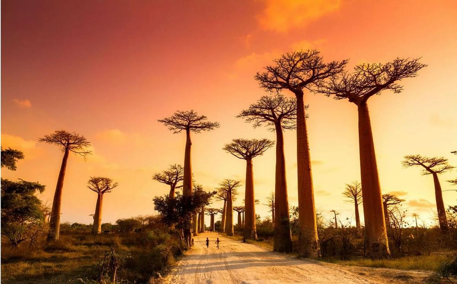 madagascar_rec