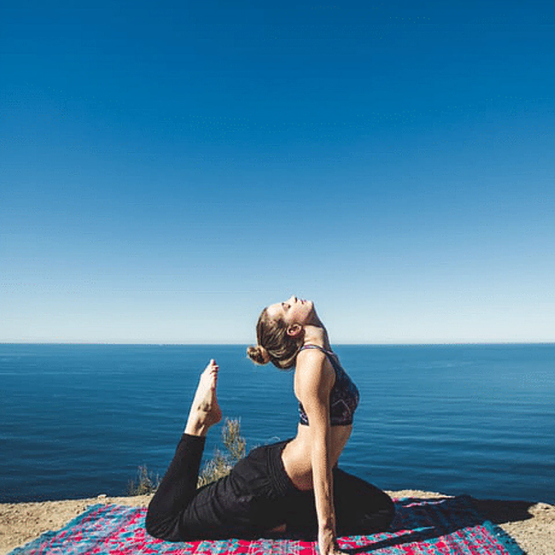 wellness_thumb