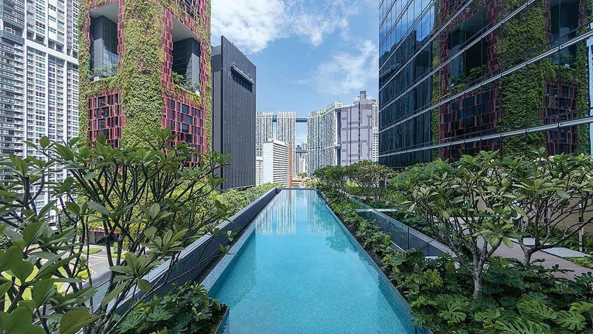 Credit: Sofitel Singapore City Centre