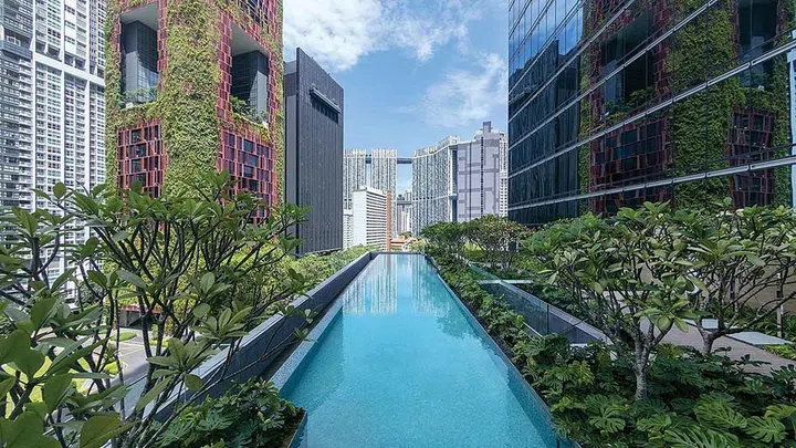 Credit: Sofitel Singapore City Centre