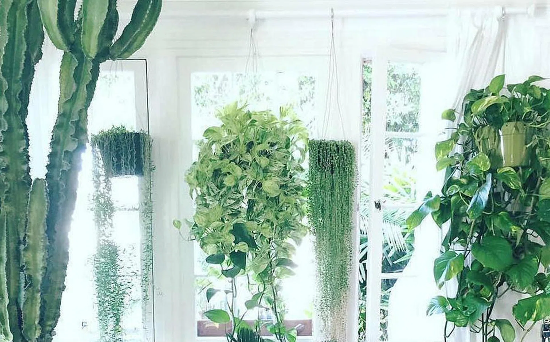 photo_credt_jungalow_rect