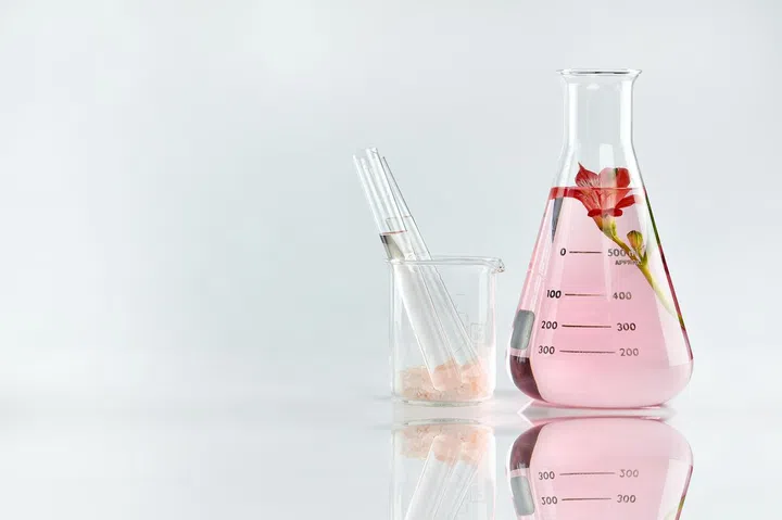 Natural organic extraction and green herbal leaves, Flower aroma essence solution in laboratory.