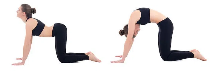 young woman doing yoga isolated on white background